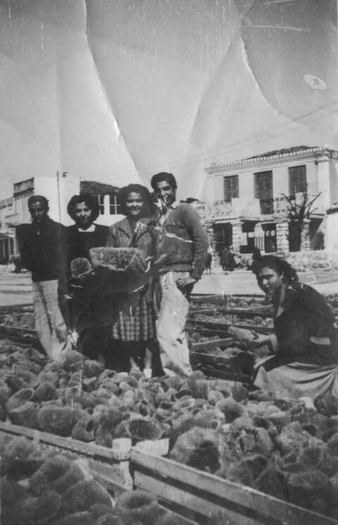 Απλωμένα σφουγγάρια