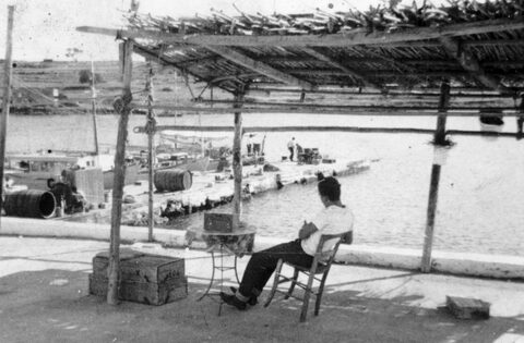 Η προκυμαία της Πέρδικας