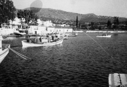 Γενική άποψη της Πέρδικας