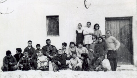 Φύτεμα αμυγδαλιών