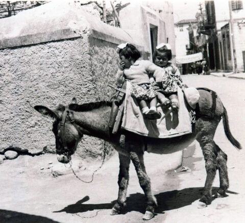 Με το γαϊδουράκι