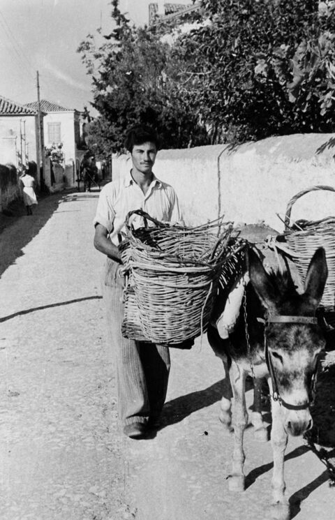 Πλανόδιος οπωροπώλης