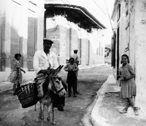 Χωρικός στο γαϊδουράκι του