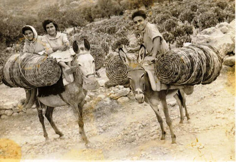 Πηγαίνοντας για τρύγο
