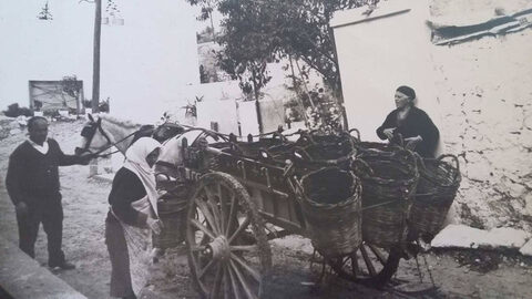 Το κάρο του μανάβη