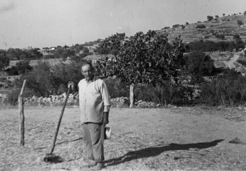 Στο αλώνι