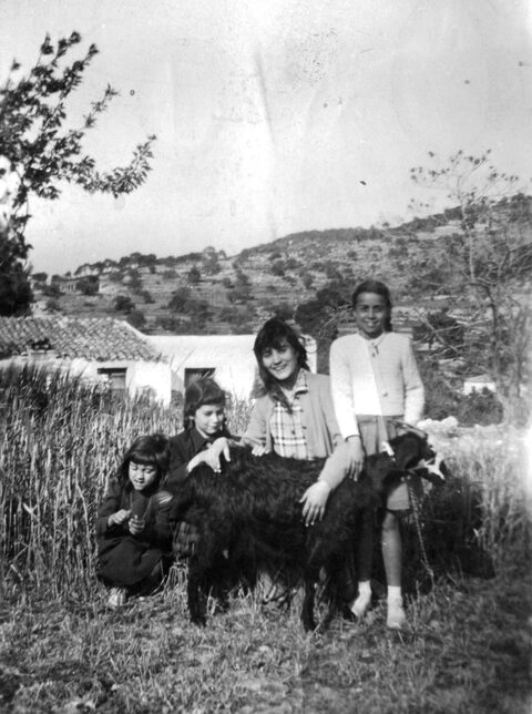 Στην εξοχή